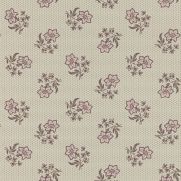 Edelweiss Wallpaper