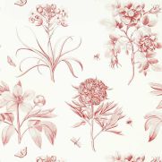 Etchings and Roses Wallpaper Amanpuri Red