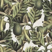 Sample-Exotic Fruit I Wallpaper Sample