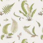 Sample-Ferns Embroidery Fabric Sample