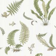 Sample-Ferns Wallpaper Sample