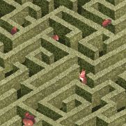 Labyrinth With Squirrels Wallpaper