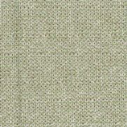 Lavani Fabric