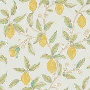 Lemon Tree Wallpaper