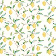 Sample-Lemon Tree Fabric Sample