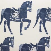 Marwari Horse Wallpaper