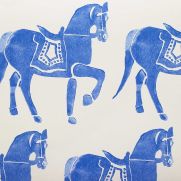 Marwari Horse Wallpaper
