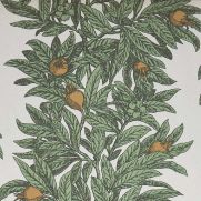 Medlar Wallpaper Green Orange
