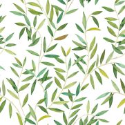 Oliveraie Wallpaper Green White