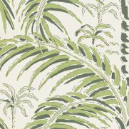 Palm House Wallpaper