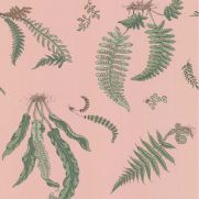 Pink Fern Wallpaper