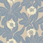 Primula Wallpaper