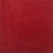 Safari Plain Velvet in Cardinal Red