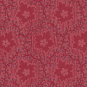Soapberry Wallpaper