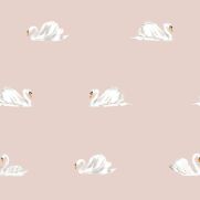 Baby Swan Wallpaper