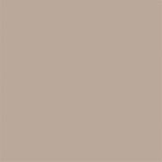 Zoffany Paint  Suede
