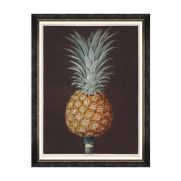 Framed Pineapple Wall Art