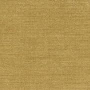 Titian Velvet Fabric