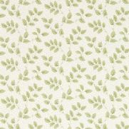 Tomato Leaf Wallpaper