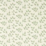 Tomato Leaf Wallpaper