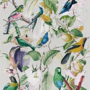 Sample-Tropical Birds Wallpaper Sample