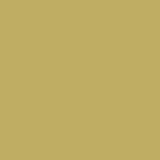 Sanderson Paint - Woodland Yellow