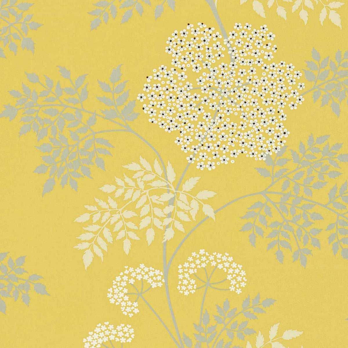 Cowparsley Chinese Yellow Wallpaper | Sanderson by Sanderson Design