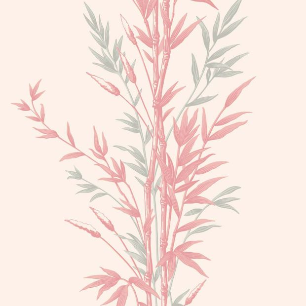 Bamboo Archive Anthology Wallpaper