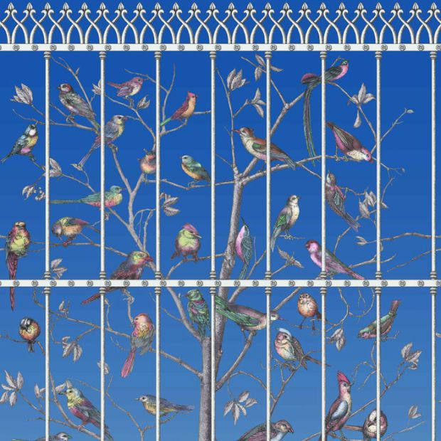 Uccelli Wallpaper