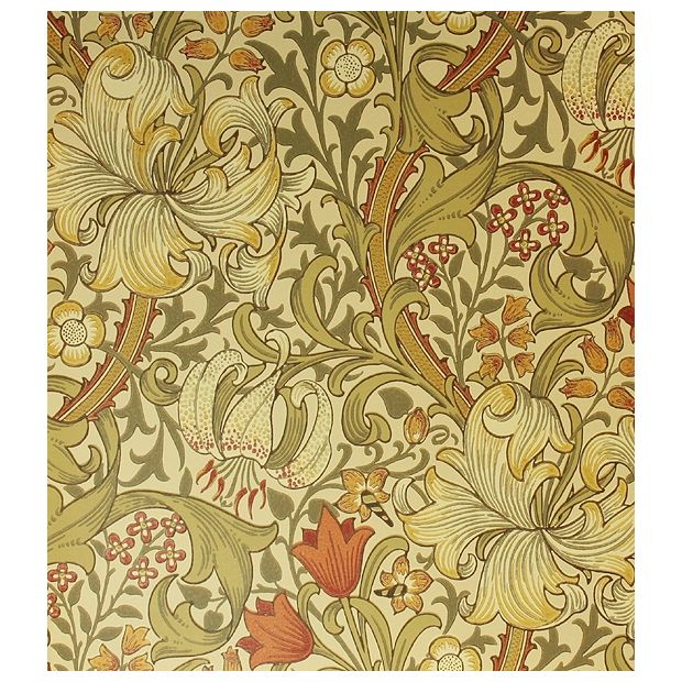 Golden Lily Wallpaper