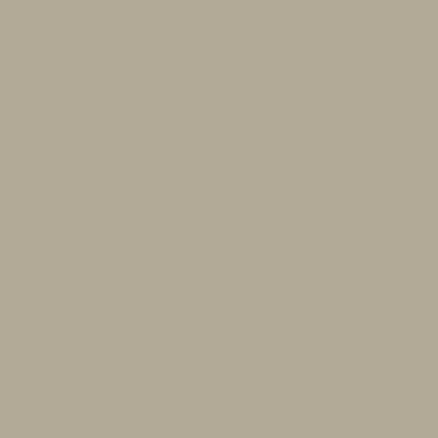 Sanderson Paint - Beech Grey