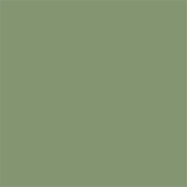 Sanderson Paint - Canopy Green 