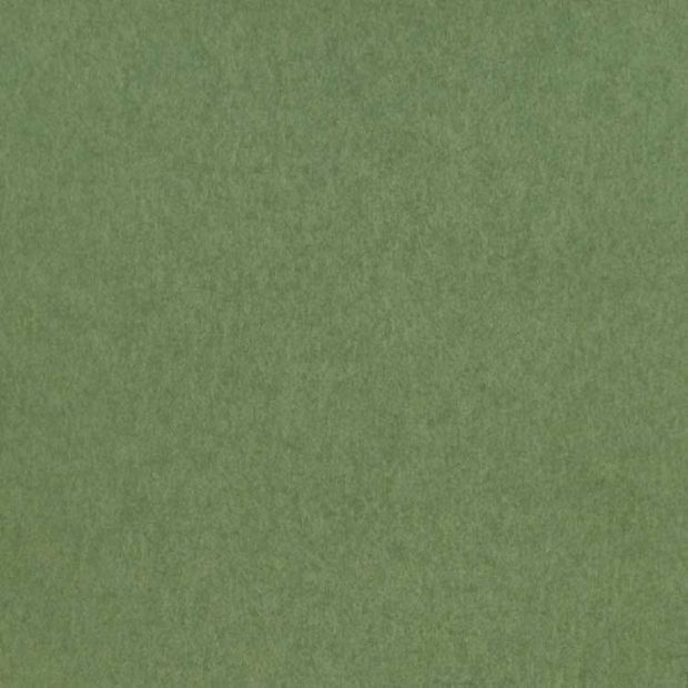 Chroma Wallpaper Plain Green Matt