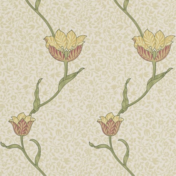 Garden Tulip Wallpaper