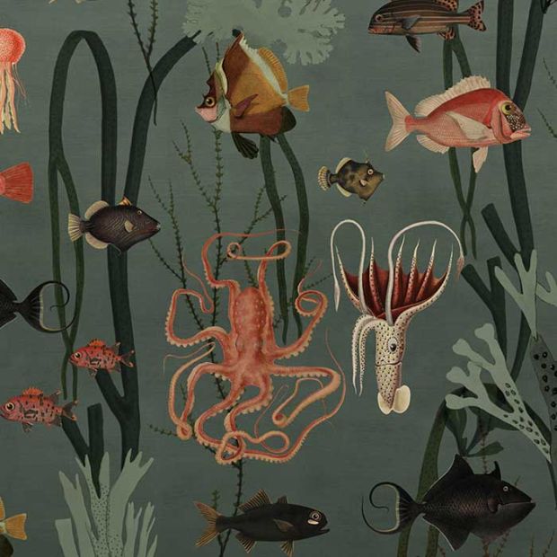 Aquatic Life Mural Wallpaper