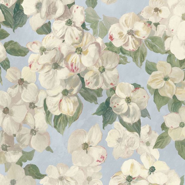 Flower Cloud Wallpaper Sky