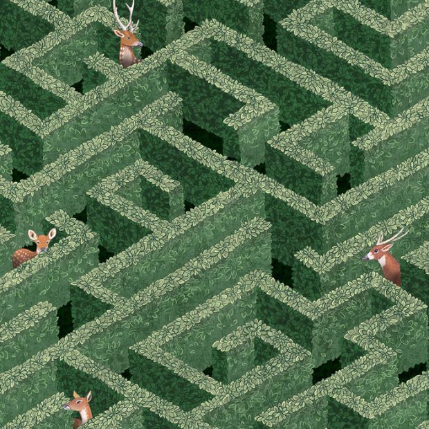 Labyrinth With Deer Wallpaper