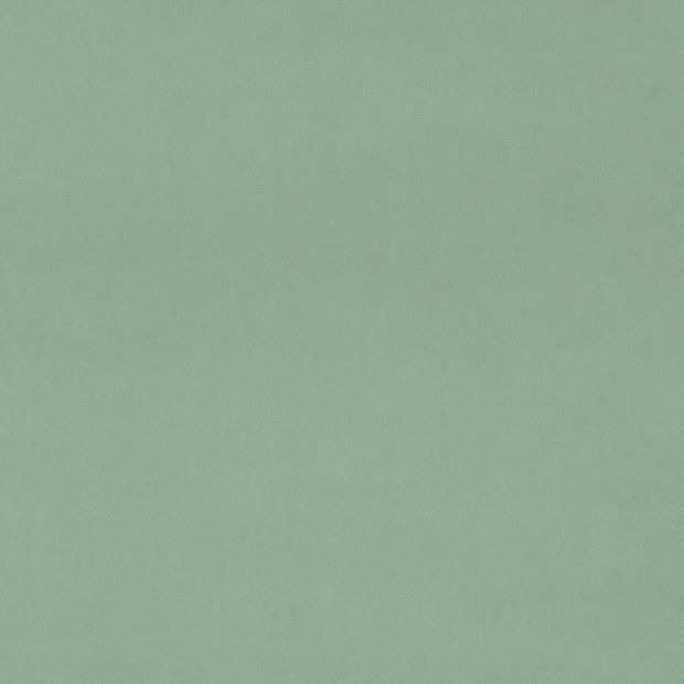 Omega Velvet Duck Egg