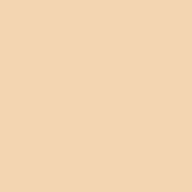 Little Greene Paint - Stone Pale Warm