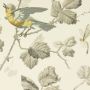 Winter Birds Wallpaper