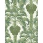 Hollywood Palm Wallpaper