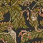 Bush Baby Wallpaper