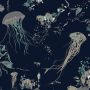 Jellyfish Wallpaper