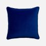 Bluebird Cushion