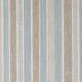 Carskiey Fabric