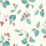 Rubus Wallpaper