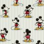Mickey - Stripe Fabric