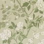 Green and White Floral Wallpaper