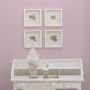 Designers Guild Paint / Faded Blossom