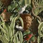Tropical Bird Wallpaper UK